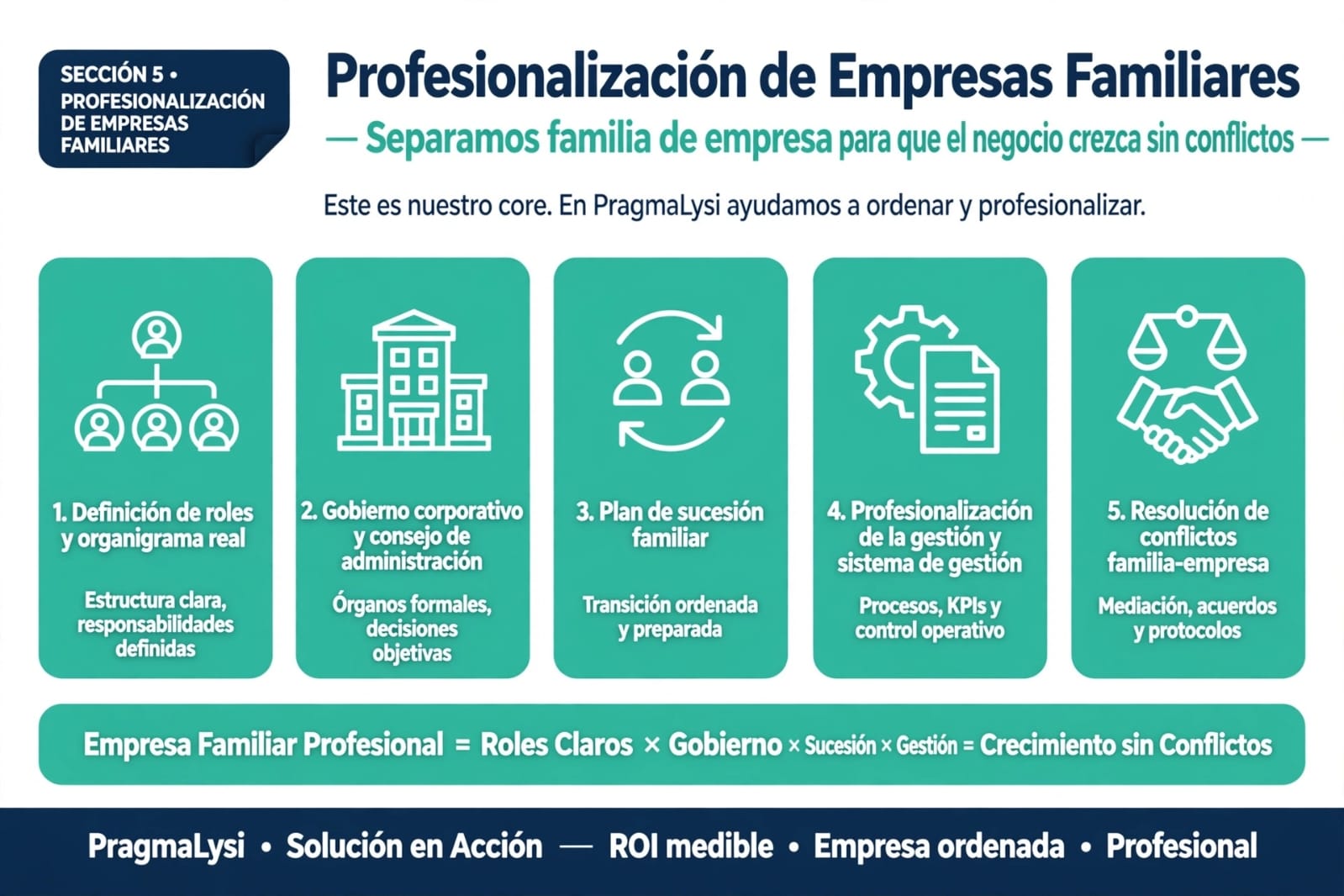 5 pilares profesionalizacion